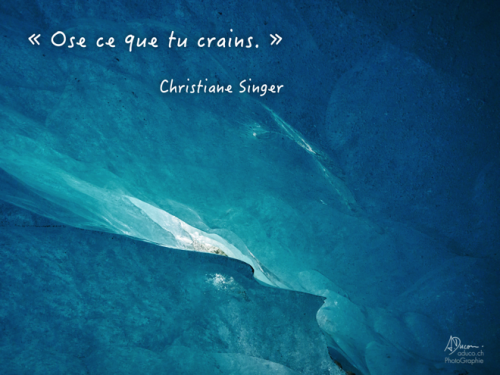 camille derel constellations familiales