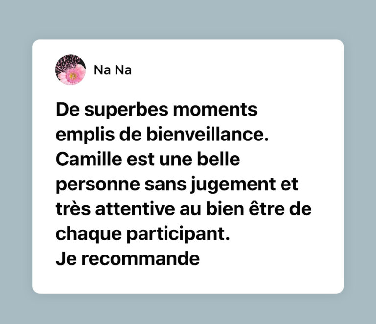 constellations familiales avis