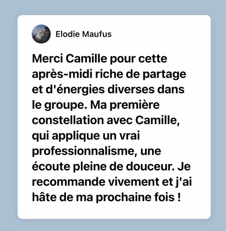 limoges témoignage camille derel constellations familiales