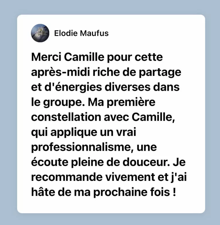 limoges-temoignage-camille-derel-constellations-familiales-e1673209248664.jpg