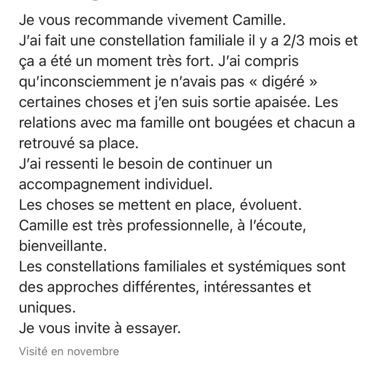 temoignage-constellation-familiale-individuel-brive-la-gaillarde-correze-camille-dere-jpg.webp