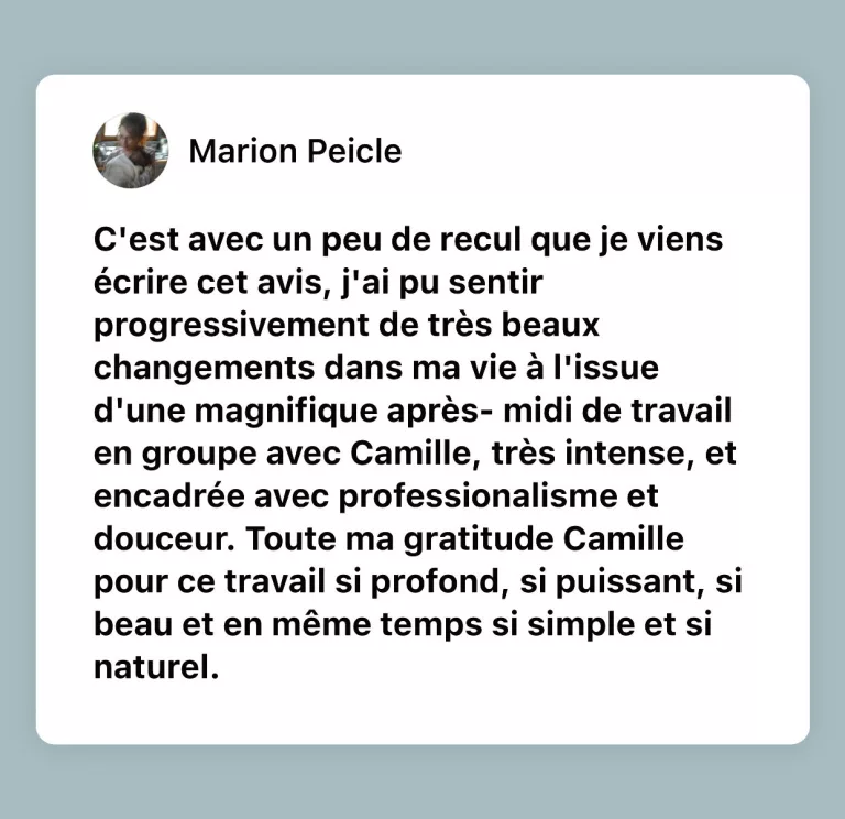 temoignage-constellations-familiales-camille-derel-e1675114086831.jpg
